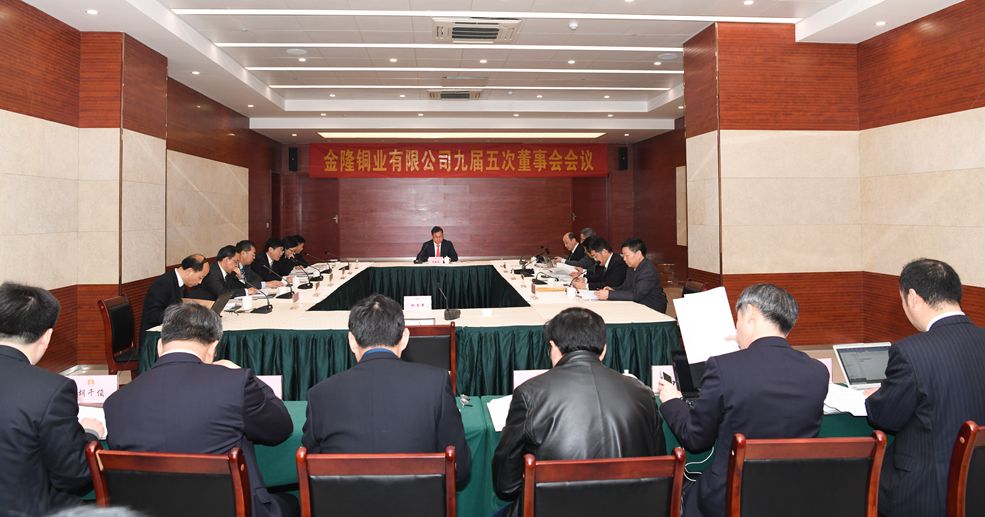 公司召开九届五次董事会会议